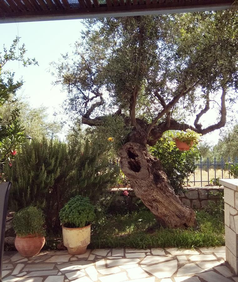 Atha-Tina:Traditional Stone Homes Άγιος Νικόλαος Εξωτερικό φωτογραφία